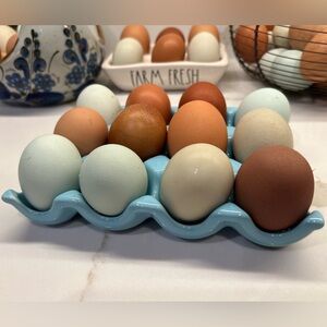 Ceramic Egg Crate Holder Shallow Holds 12 Eggs Beautiful Blue Colored